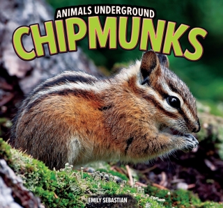Cover image: Chipmunks 9781448849543