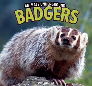 Cover image: Badgers 9781448849550