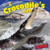 صورة الغلاف: A Crocodile’s Life 9781448849765