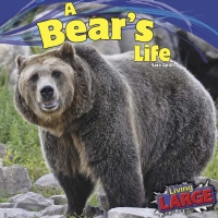 Imagen de portada: A Bear’s Life 9781448849772