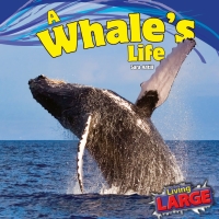 صورة الغلاف: A Whale’s Life 9781448849789