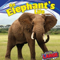 صورة الغلاف: An Elephant’s Life 9781448849796
