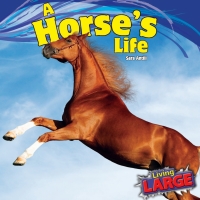 صورة الغلاف: A Horse’s Life 9781448849802
