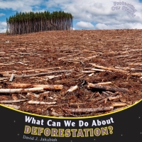 Omslagafbeelding: What Can We Do About Deforestation? 9781448849864