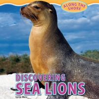 Imagen de portada: Discovering Sea Lions 9781448849925