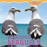 Imagen de portada: Discovering Seagulls 9781448849956