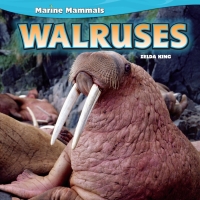 Omslagafbeelding: Walruses 9781448850051