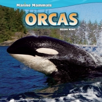 صورة الغلاف: Orcas 9781448853359