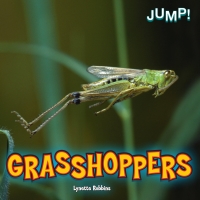 Omslagafbeelding: Grasshoppers 9781448850150