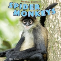Imagen de portada: Spider Monkeys 9781448850204