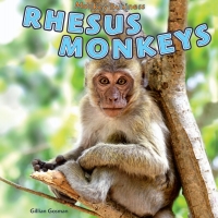 Imagen de portada: Rhesus Monkeys 9781448850235