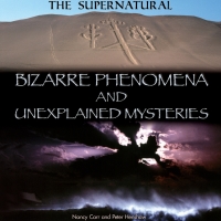 Cover image: Bizarre Phenomena and Unexplained Mysteries 9781448859849