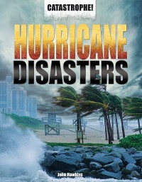 Cover image: Hurricane Disasters 9781448860043