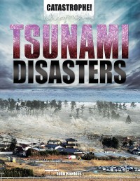 Cover image: Tsunami Disasters 9781448860050