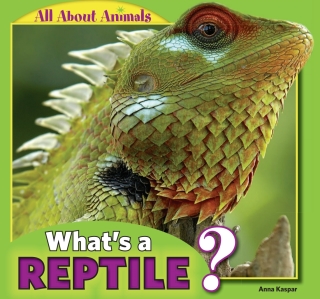 Cover image: What’s a Reptile? 9781448861347