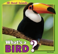 Imagen de portada: What's a Bird? 9781448861361