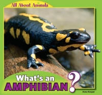 Imagen de portada: What’s an Amphibian? 9781448861385
