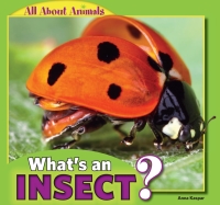 Cover image: What’s an Insect? 9781448861392