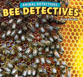 Cover image: Bee Detectives 9781448861507
