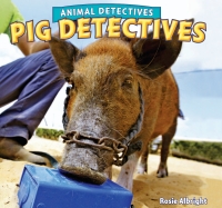 Imagen de portada: Pig Detectives 9781448861514