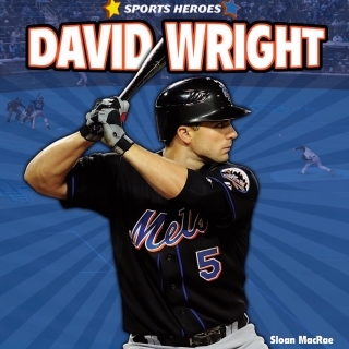صورة الغلاف: David Wright 9781448861644