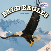 Cover image: Bald Eagles 9781448861804
