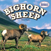 صورة الغلاف: Bighorn Sheep 9781448861811