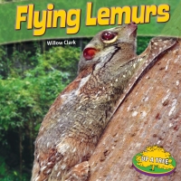 صورة الغلاف: Flying Lemurs 9781448861842