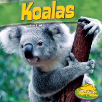 صورة الغلاف: Koalas 9781448861859