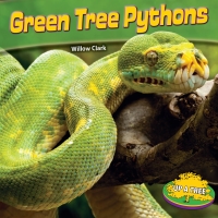 Imagen de portada: Green Tree Pythons 9781448861873