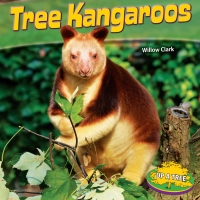 Imagen de portada: Tree Kangaroos 9781448861897