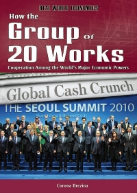 Cover image: How the Group of 20 Works 9781448867882