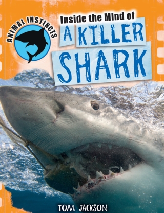 Cover image: Inside the Mind of a Killer Shark 9781448870318