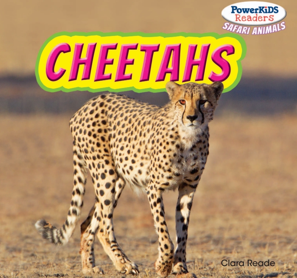 Cheetahs
