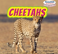 Imagen de portada: Cheetahs 9781448874644