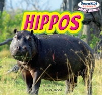 صورة الغلاف: Hippos 9781448873920