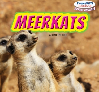 Cover image: Meerkats 9781448873944