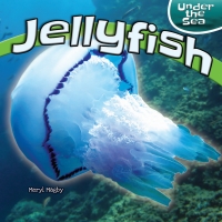 Imagen de portada: Jellyfish 9781448873975