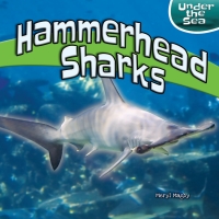 Imagen de portada: Hammerhead Sharks 9781448873982