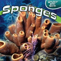 Imagen de portada: Sponges 9781448873999