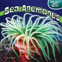 صورة الغلاف: Sea Anemones 9781448874019