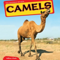 Imagen de portada: Camels 9781448874163