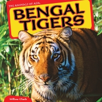 Imagen de portada: Bengal Tigers 9781448874170