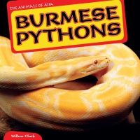 Omslagafbeelding: Burmese Pythons 9781448874187