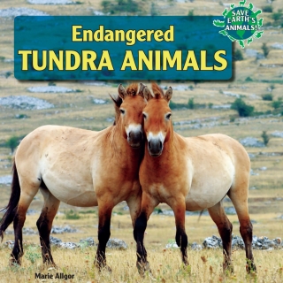 صورة الغلاف: Endangered Tundra Animals 9781448874217