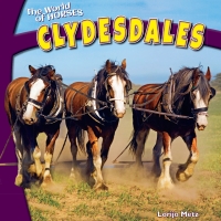 Cover image: Clydesdales 9781448874279