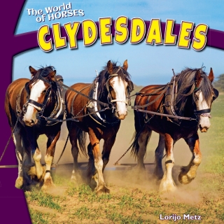 表紙画像: Clydesdales 9781448874279