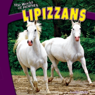 Cover image: Lipizzans 9781448874286