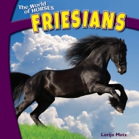 Cover image: Friesians 9781448874316