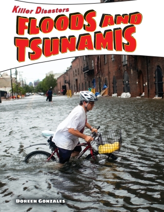 Cover image: Floods and Tsunamis 9781448874385